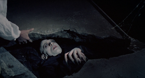 Nosferatu the Vampyre/Nosferatu: Phantom der Nacht (1979) Dir. Werner Herzog