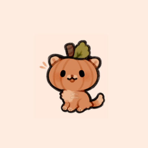 spicymochi:pumpkin kitty