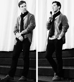 moviein:  Benedict Cumberbatch at the Q&A