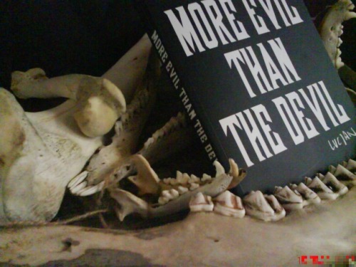 MORE EVIL THAN THE DEVIL BOOK ~a5 / 400 pages / 66 copies /b&w