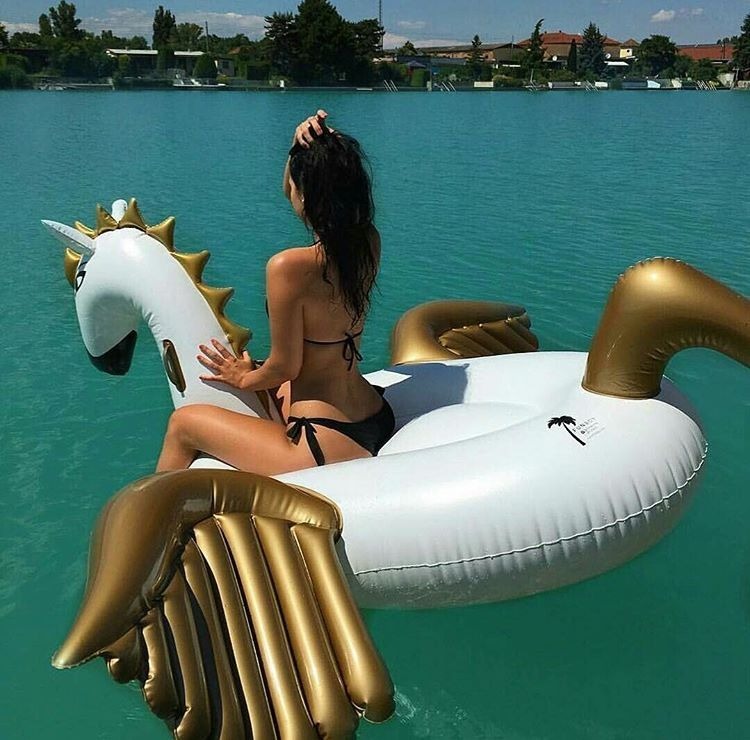 diorpics:  D I O R  P I C S .💦