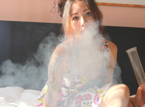 reeferkitten:  hiiigh