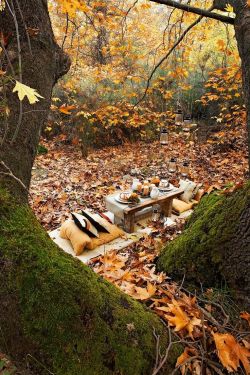 bluepueblo:  Autumn Picnic, London, England