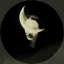 moonlight-allure