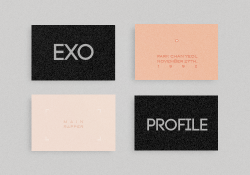 enoiism:  EXO PROFILE ► 박찬열 ► for