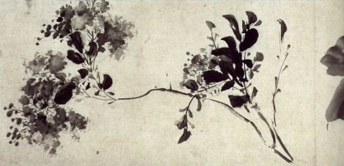 sumi-no-neko: 徐渭 Hsü Wei（1521－1593）