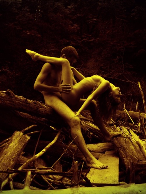 http://pornartporn.tumblr.com/post/158985997266
