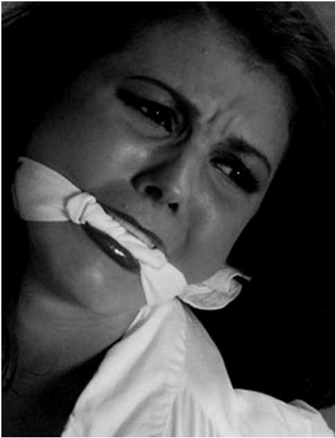 http://gaggedfantasies.tumblr.com/post/72663282581