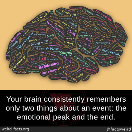 mindblowingfactz:  Your brain consistently remembers only two things about an event: the emotional peak and the end.