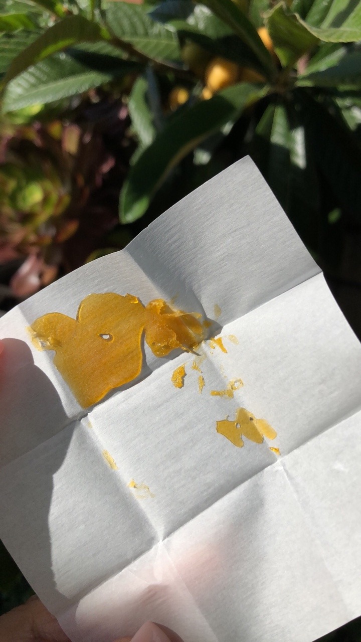 Smells Like Bong Water