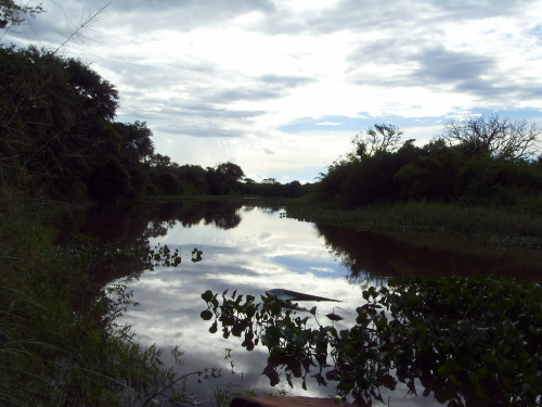 uruboros:  This was a small river near Emboscada in Paraguay. It was quite a hike to reach it.