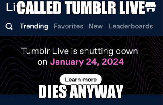 Tumblr media