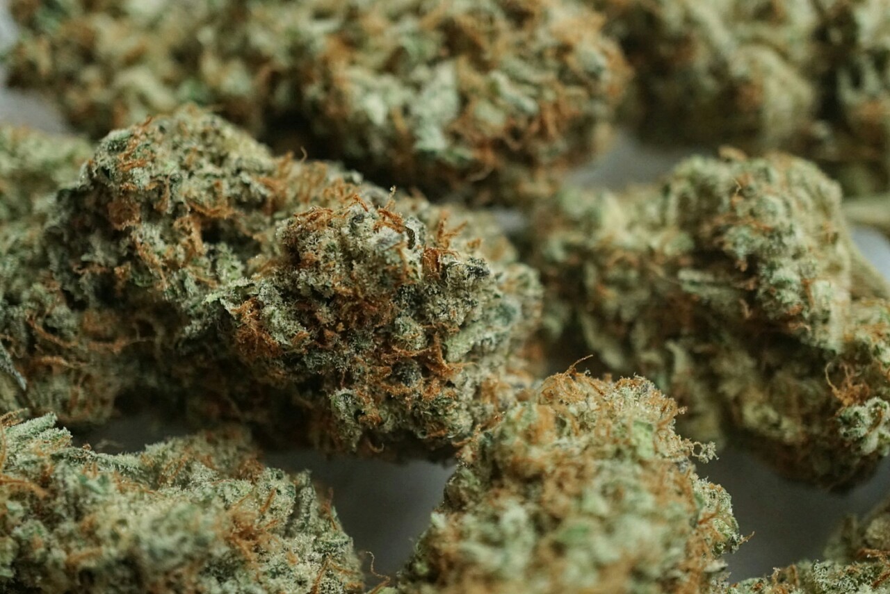 mice-teeth: I could eat these buds, they look like candy 😋😇 Two ounces of super