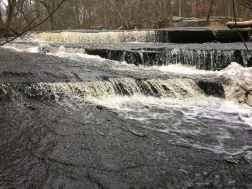 Falls at Arcadia Park, RI