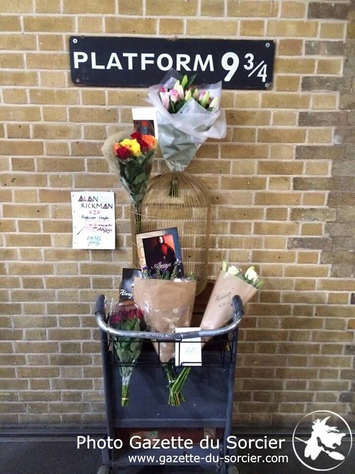 fellowshipofthejedi:   King’s Cross Platform 9¾ transformed into a makeshift memorial