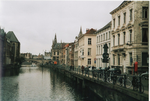 petalier:@WeHeartIt /entry/240102737