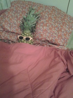 strudelcutie4427:  my sister is going to be really surprised when she comes home and finds this extremely cool pineapple waiting for her in bed 