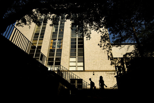 A selection of my top photos from the month of August shot for Northeastern University.