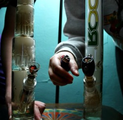 Another 420 Weed Blog