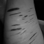 deadprincess31