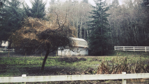 englishsnow:   Tyler Forest-Hauser 