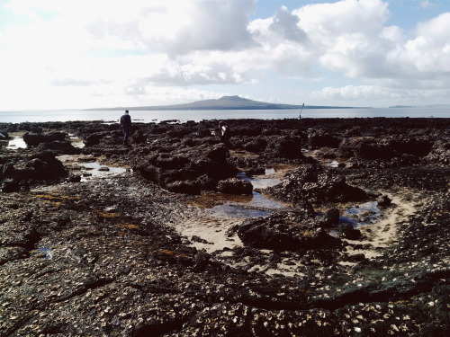 aratrikag05: Takapuna beach, Auckland. I had a field trip where we visited four volcanoes in the Auc