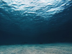 nalurivera:sea bottom