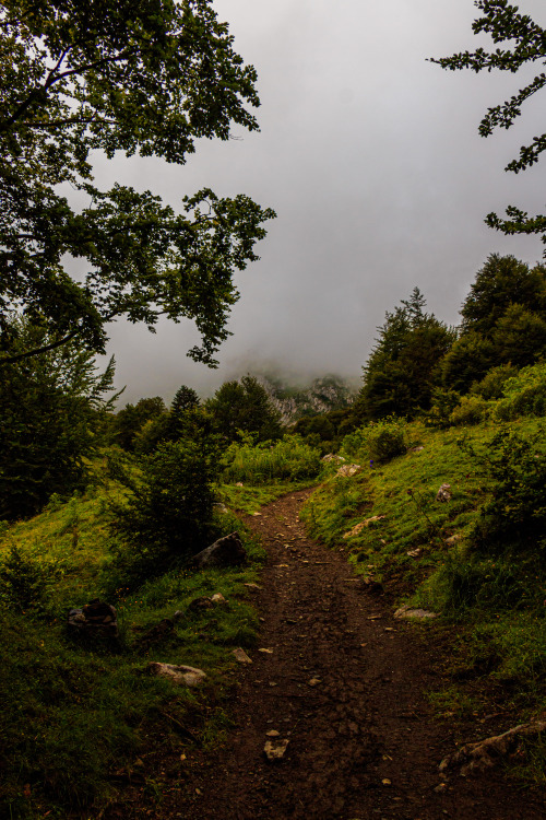 nature-hiking: Out of the forest and into the fog - Haute Route Pyreneenne, July 2018 photo by natur