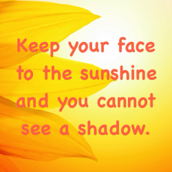 Keep your face to the sunshine and you cannot