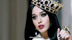 katys-katycats:  QUEEN OF TWITTER