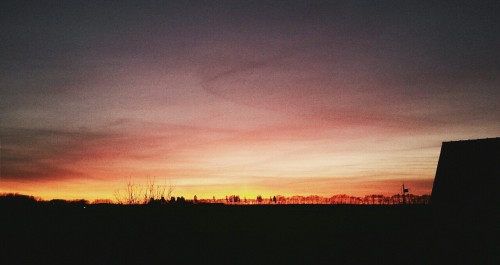 saeureregen:  The sky is burning 🌅 
