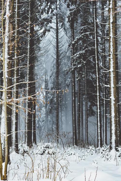 throughwinterfields:Benjamin Raffetseder