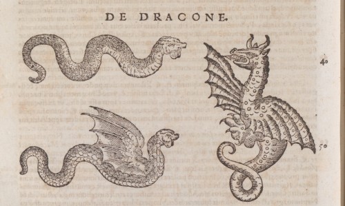 Dragons from Conrad Gessner’s Historiae animalium liber V., qui est de serpentium natura (Zürich 158