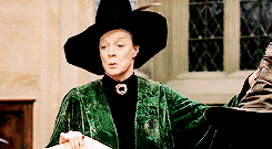 spidehman:The door swung open at once. A tall, black-haired witch in emerald-green robes stood there