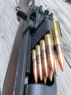 whiskeyandspentbrass:  Eight rounds of Freedom!