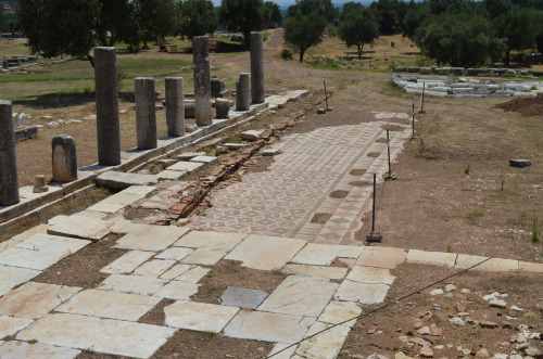 greek-museums:Coming up: Ancient Messene