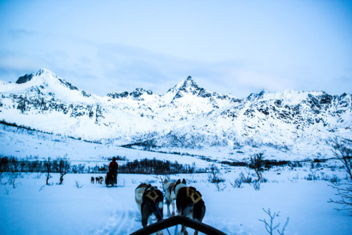 worldstreetjournal:Husky sledding in Tromsø, Norway in the Blue HourIn January, the sun rises for al