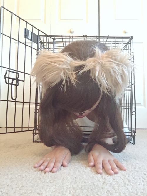 tumblr photo twg78 0