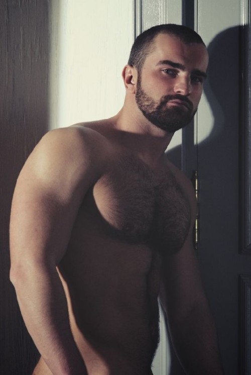 sebearcubstan:Sergio Art by Andrew Serkin