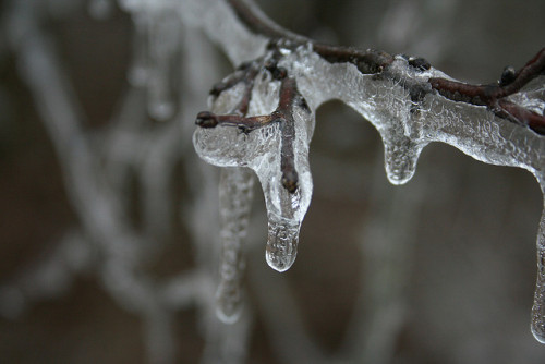 valscrapbook:  Winter Ice by camophoto on Flickr.