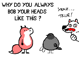 k-eke:  I had to reply this fundamental question ! Why do pigeons bon their heads