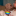 welcometotheworldofmax:  faerylouis:  being homosexual or bisexual isn’t disgusting.