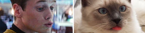 commanderflowers:  tothestartrek:  I don’t know why but I felt absolutely compelled to make th