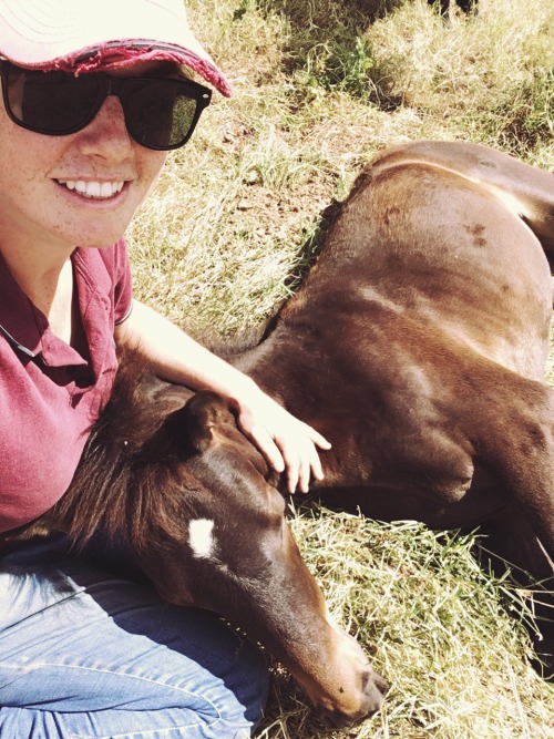 saisirlesjour:performing my job as a foal lap pillow, summer 2016