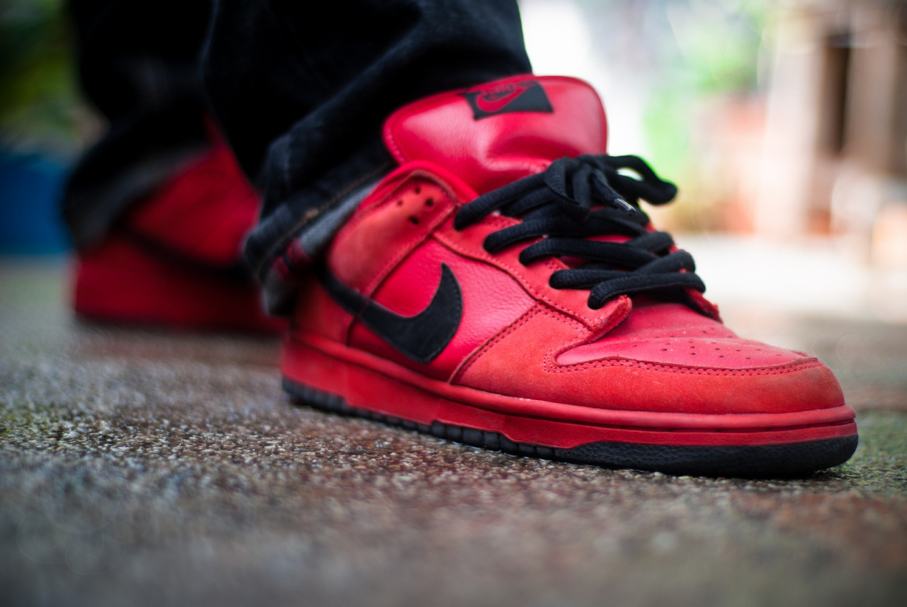 nike sb true red