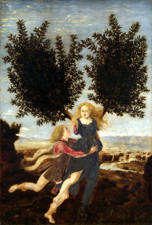 doctorpretorius:Apollo and Daphne by Antonio del Pollaiuolo, probably 1470-80