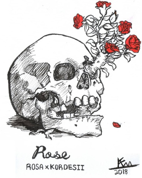 ROSA x KORDESII Ink The first of many in my skulls and flowers series. I drew this one since it seem