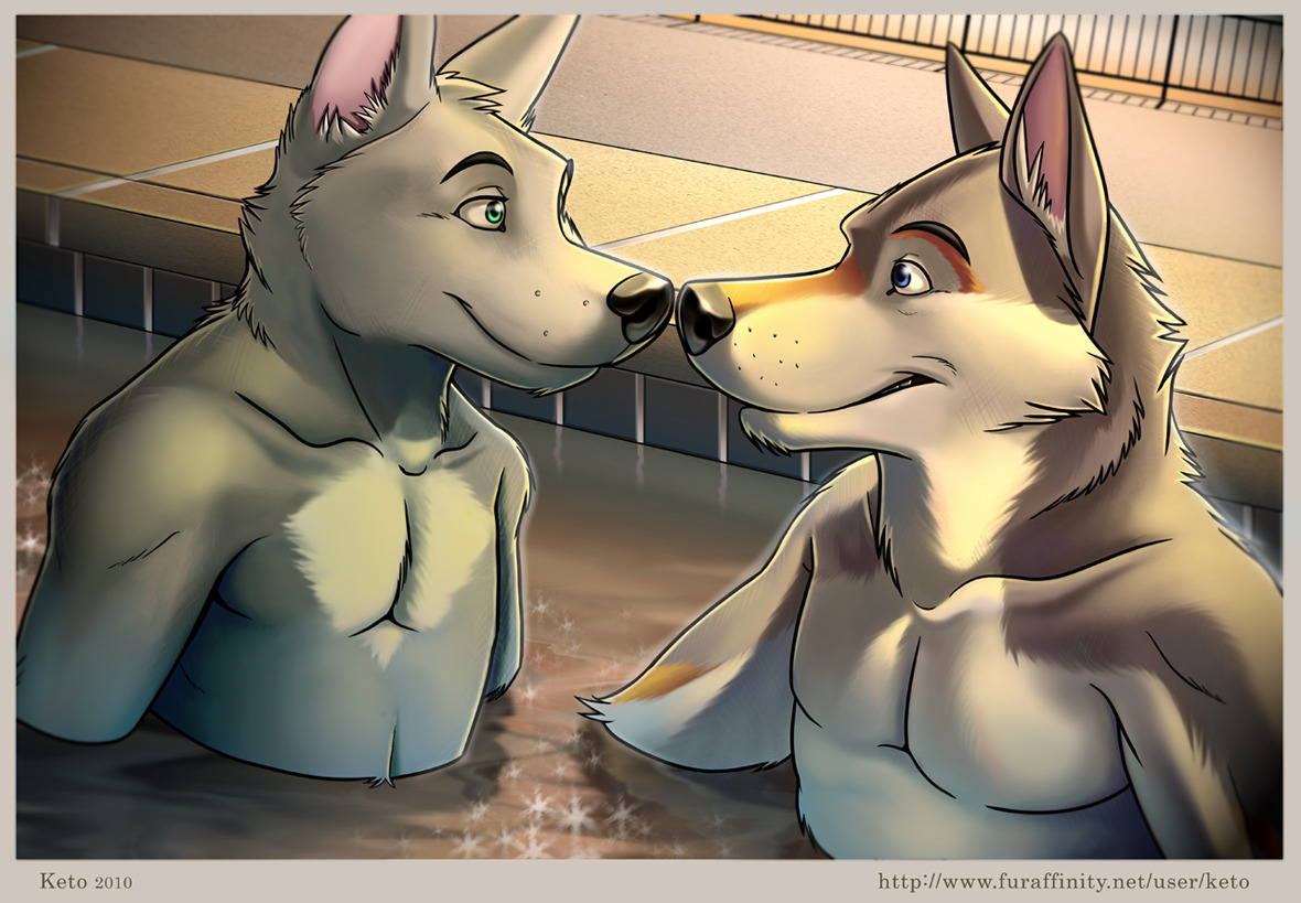 male-fur:  At the Pool  [1][2][3][4][5][6][7][8][9][10][11] 