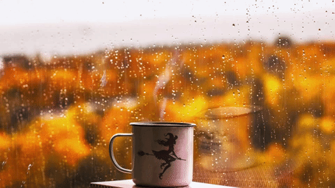I Love This Feeling When You Are Sitting In Your Warm, Cozy Room Listening To 70s Music While Watching