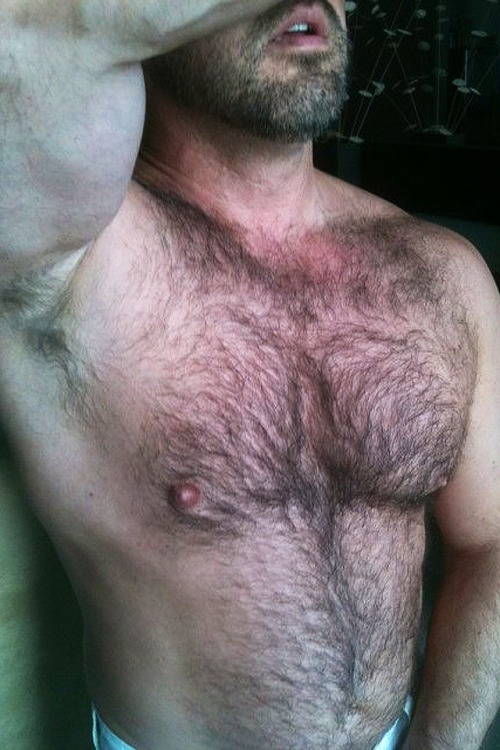 mario-so:  Hairy heat. adult photos